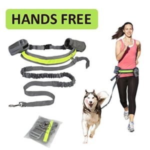 Adjustable Hands-Free Dog Leash