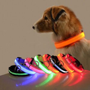 LED Safety Dog Collar